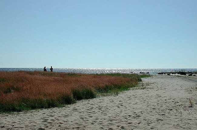 Hailuoto, ruohikkoa ja hiekkaa